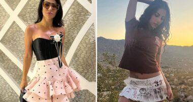 Hamideh Soleimani Afshar, Qasem Soleimaniâs niece, rejected by ex in ICE call